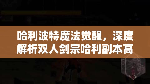 哈利波特魔法觉醒，深度解析双人剑宗哈利副本高效打法策略