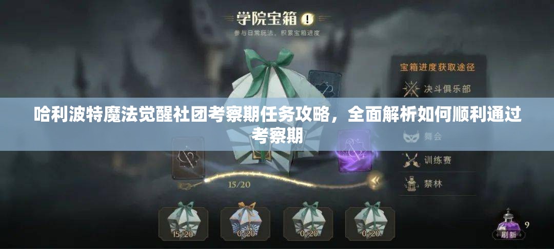 哈利波特魔法觉醒社团考察期任务攻略，全面解析如何顺利通过考察期