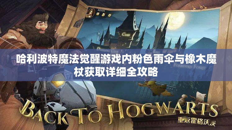 哈利波特魔法觉醒游戏内粉色雨伞与橡木魔杖获取详细全攻略