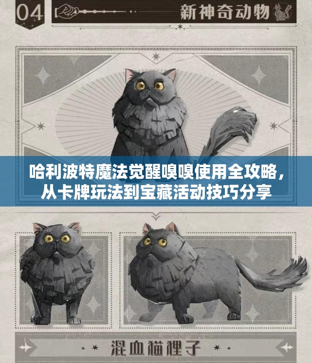 哈利波特魔法觉醒嗅嗅使用全攻略，从卡牌玩法到宝藏活动技巧分享