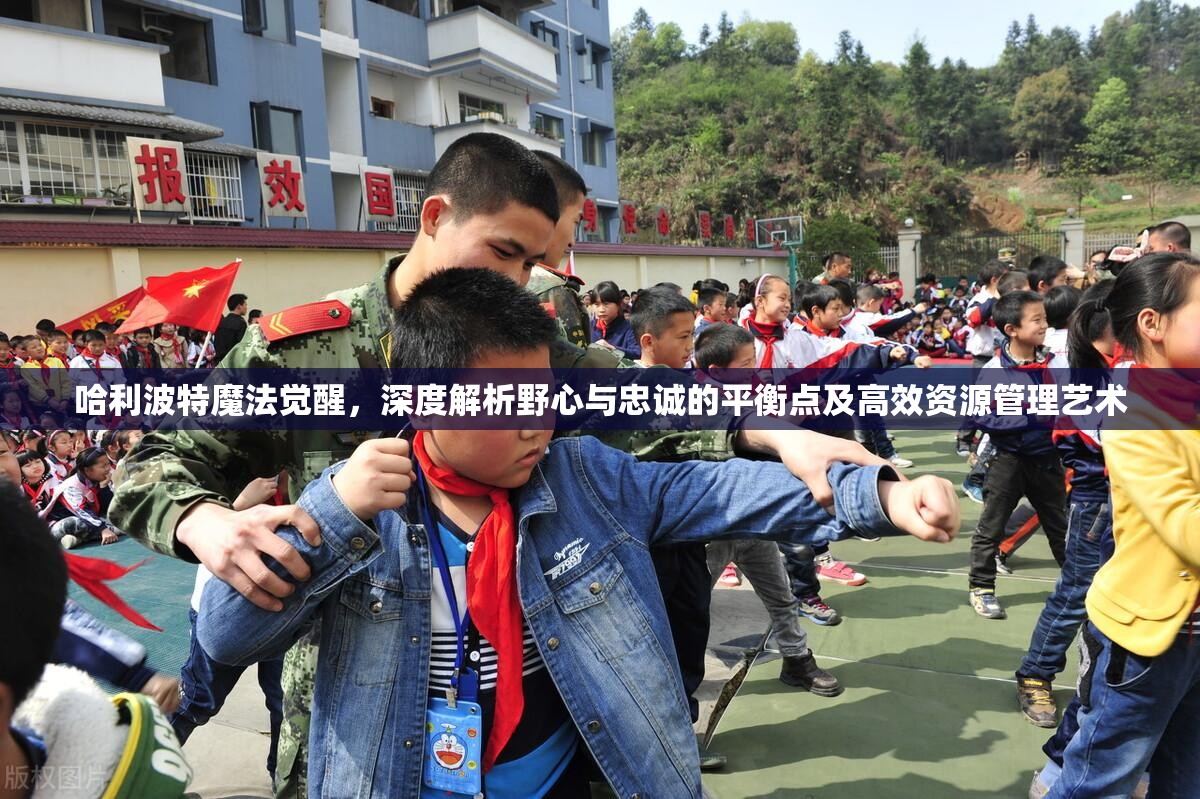 哈利波特魔法觉醒，深度解析野心与忠诚的平衡点及高效资源管理艺术