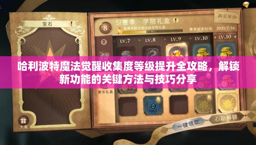 哈利波特魔法觉醒收集度等级提升全攻略，解锁新功能的关键方法与技巧分享