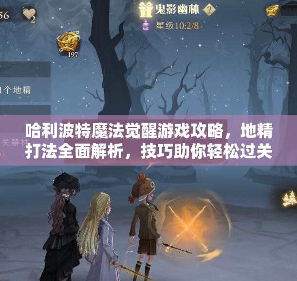 哈利波特魔法觉醒游戏攻略，地精打法全面解析，技巧助你轻松过关无忧