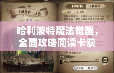 哈利波特魔法觉醒，全面攻略阅读卡获取途径与价值最大化利用策略