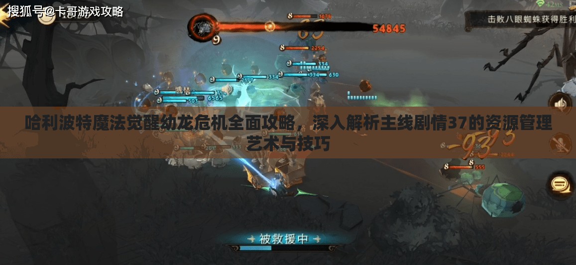 哈利波特魔法觉醒幼龙危机全面攻略，深入解析主线剧情37的资源管理艺术与技巧