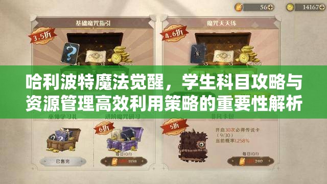 哈利波特魔法觉醒，学生科目攻略与资源管理高效利用策略的重要性解析