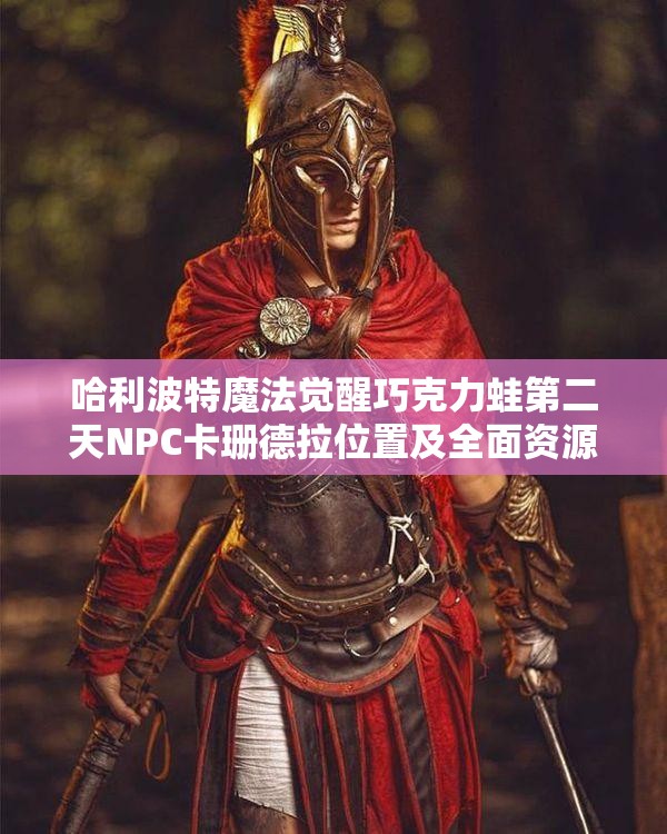 哈利波特魔法觉醒巧克力蛙第二天NPC卡珊德拉位置及全面资源管理攻略