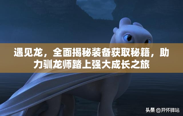 遇见龙，全面揭秘装备获取秘籍，助力驯龙师踏上强大成长之旅