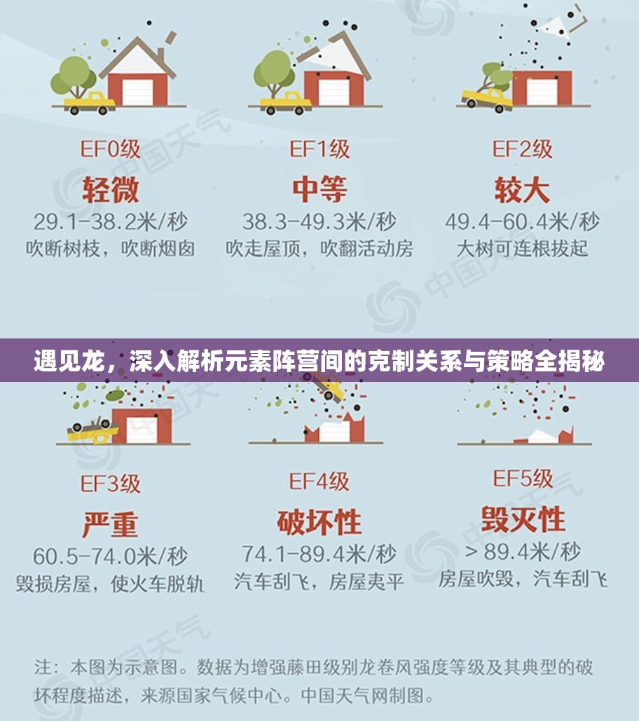 遇见龙，深入解析元素阵营间的克制关系与策略全揭秘