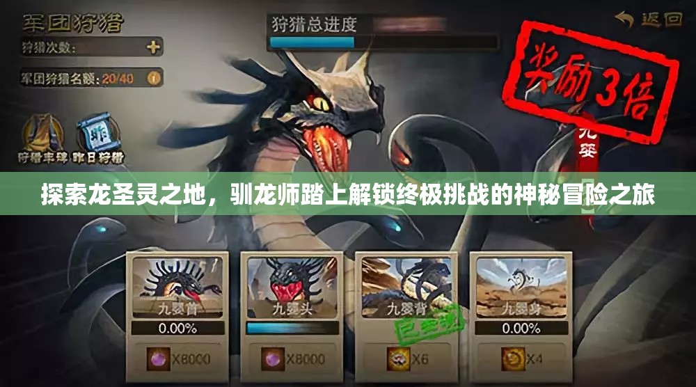 探索龙圣灵之地，驯龙师踏上解锁终极挑战的神秘冒险之旅