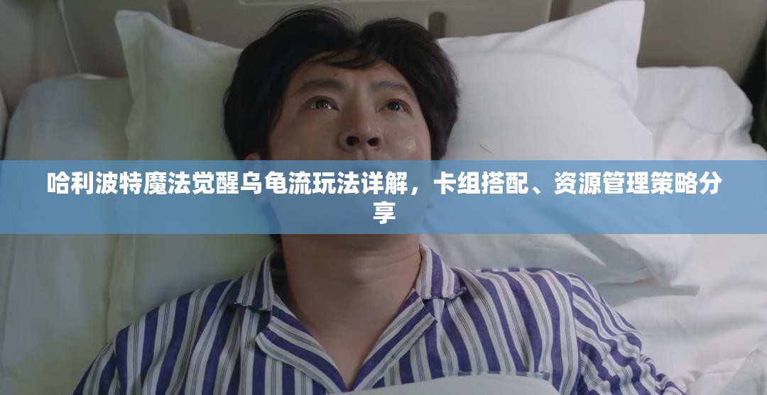 哈利波特魔法觉醒乌龟流玩法详解，卡组搭配、资源管理策略分享