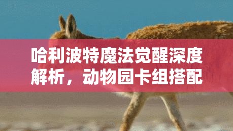 哈利波特魔法觉醒深度解析，动物园卡组搭配策略与流派阵容揭秘