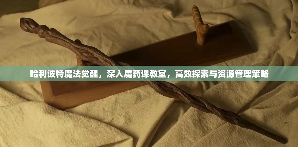 哈利波特魔法觉醒，深入魔药课教室，高效探索与资源管理策略
