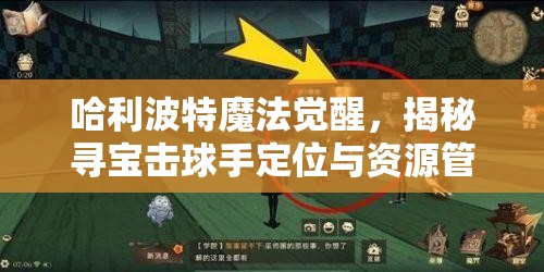 哈利波特魔法觉醒，揭秘寻宝击球手定位与资源管理首要任务及其策略