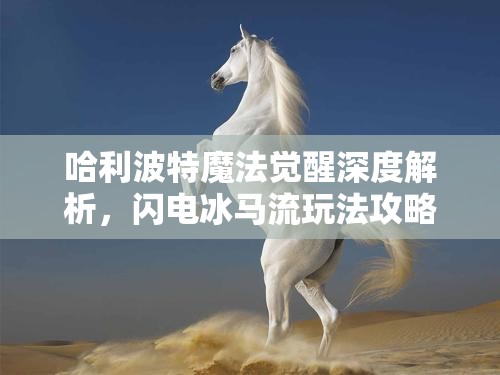 哈利波特魔法觉醒深度解析，闪电冰马流玩法攻略全揭秘