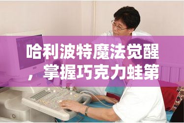 哈利波特魔法觉醒，掌握巧克力蛙第三天资源管理智慧，揭秘会移动楼梯攻略