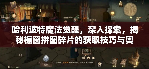 哈利波特魔法觉醒，深入探索，揭秘橱窗拼图碎片的获取技巧与奥秘