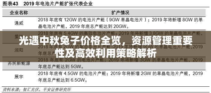 光遇中秋兔子价格全览，资源管理重要性及高效利用策略解析