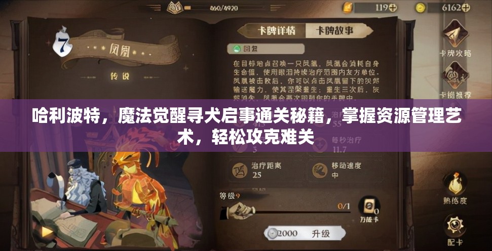 哈利波特，魔法觉醒寻犬启事通关秘籍，掌握资源管理艺术，轻松攻克难关