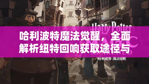 哈利波特魔法觉醒，全面解析纽特回响获取途径与高效资源管理策略