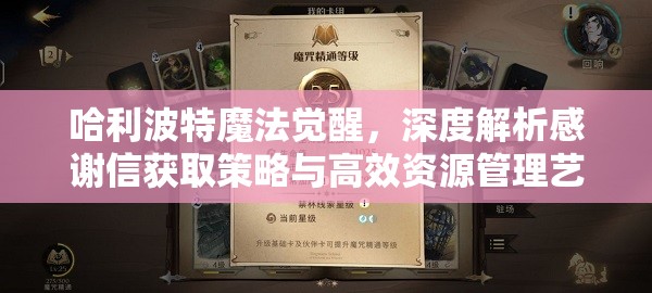 哈利波特魔法觉醒，深度解析感谢信获取策略与高效资源管理艺术
