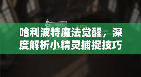 哈利波特魔法觉醒，深度解析小精灵捕捉技巧与高效资源管理艺术