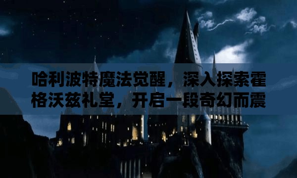 哈利波特魔法觉醒，深入探索霍格沃兹礼堂，开启一段奇幻而震撼的旅程