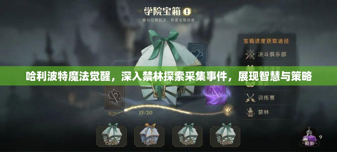 哈利波特魔法觉醒，深入禁林探索采集事件，展现智慧与策略