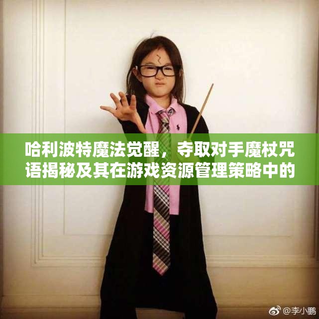 哈利波特魔法觉醒，夺取对手魔杖咒语揭秘及其在游戏资源管理策略中的核心作用