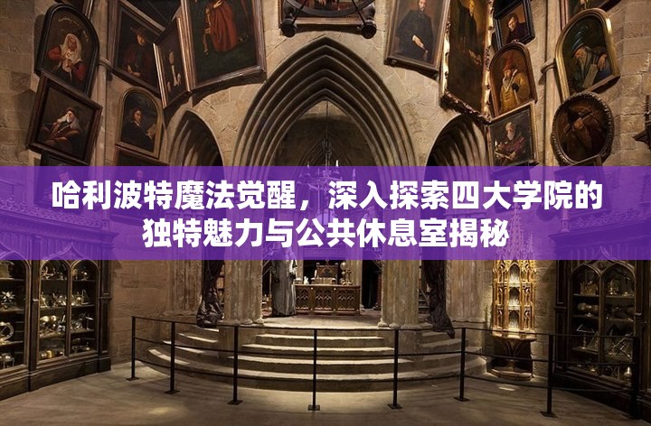 哈利波特魔法觉醒，深入探索四大学院的独特魅力与公共休息室揭秘