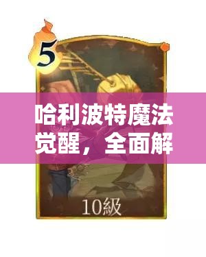 哈利波特魔法觉醒，全面解析回响升级策略与技巧攻略