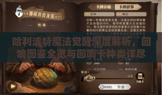 哈利波特魔法觉醒深度解析，回响图鉴全览与回响卡种类详尽揭秘