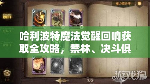 哈利波特魔法觉醒回响获取全攻略，禁林、决斗俱乐部及日常活动详解