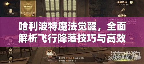 哈利波特魔法觉醒，全面解析飞行降落技巧与高效资源管理策略
