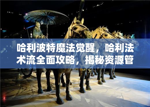 哈利波特魔法觉醒，哈利法术流全面攻略，揭秘资源管理、技巧运用与价值最大化策略