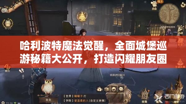 哈利波特魔法觉醒，全面城堡巡游秘籍大公开，打造闪耀朋友圈的魔法之旅