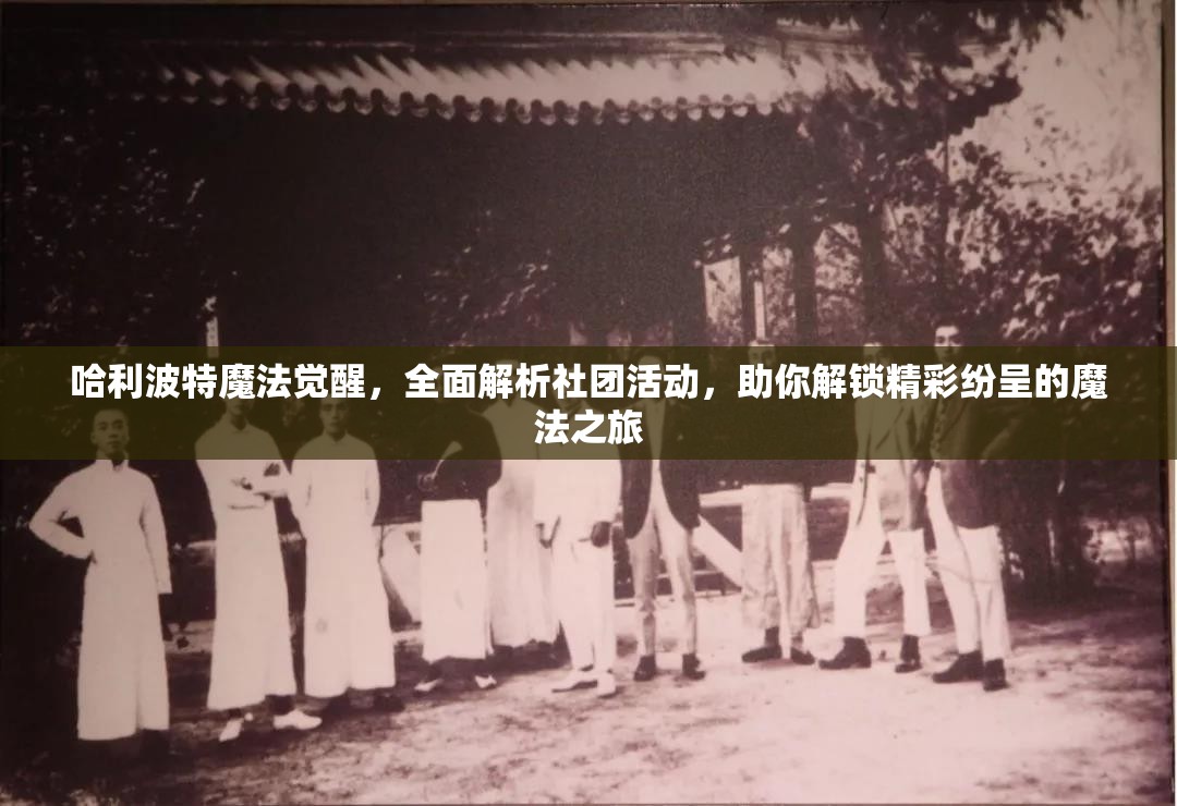 哈利波特魔法觉醒，全面解析社团活动，助你解锁精彩纷呈的魔法之旅