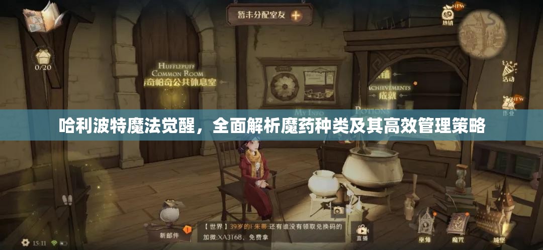 哈利波特魔法觉醒，全面解析魔药种类及其高效管理策略