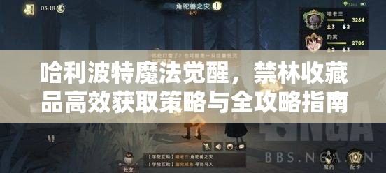 哈利波特魔法觉醒，禁林收藏品高效获取策略与全攻略指南