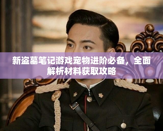 新盗墓笔记游戏宠物进阶必备，全面解析材料获取攻略