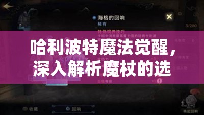 哈利波特魔法觉醒，深入解析魔杖的选择及其对魔法作用的影响