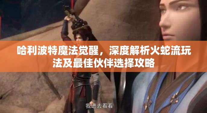 哈利波特魔法觉醒，深度解析火蛇流玩法及最佳伙伴选择攻略