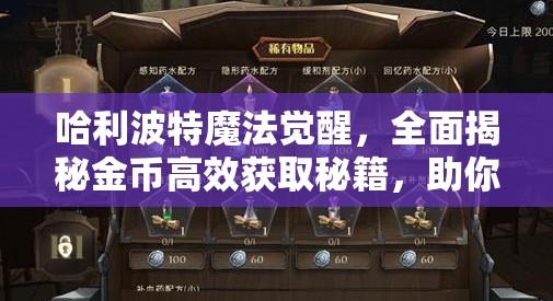 哈利波特魔法觉醒，全面揭秘金币高效获取秘籍，助你轻松解锁财富累积之旅