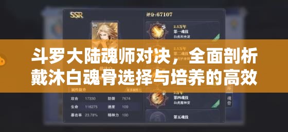 斗罗大陆魂师对决，全面剖析戴沐白魂骨选择与培养的高效攻略