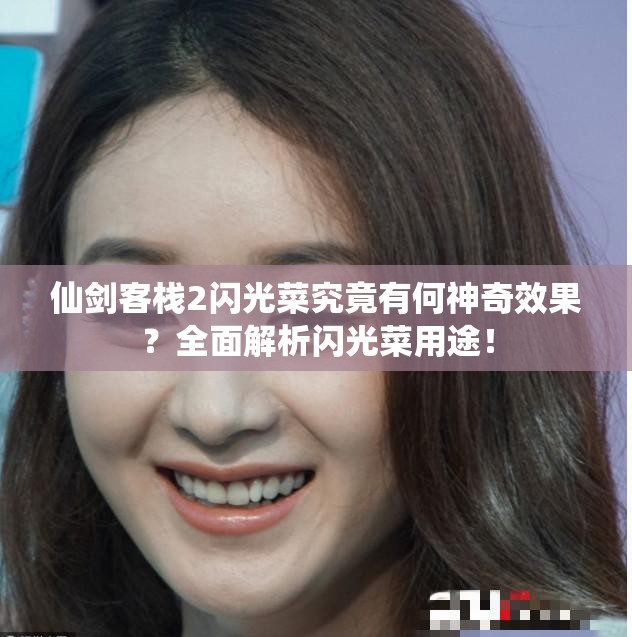 仙剑客栈2闪光菜究竟有何神奇效果？全面解析闪光菜用途！