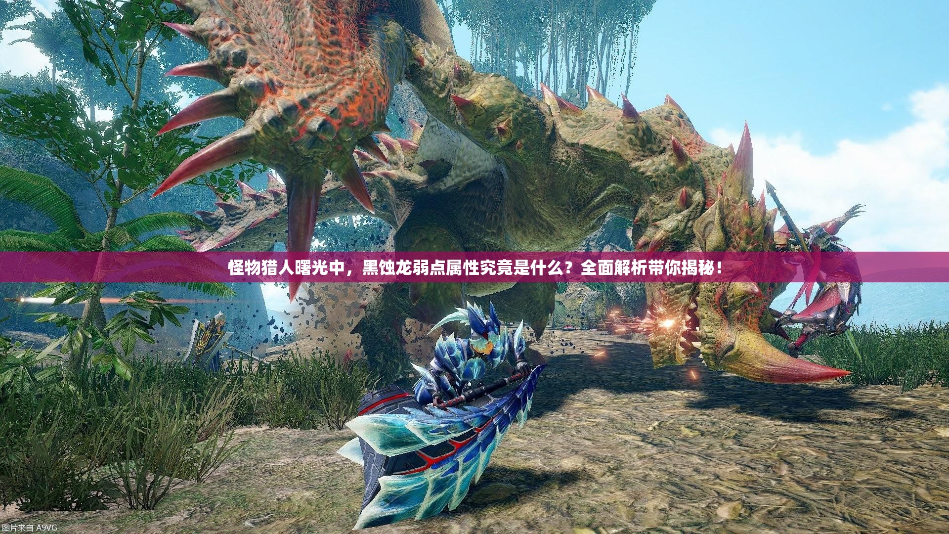 怪物猎人曙光中，黑蚀龙弱点属性究竟是什么？全面解析带你揭秘！