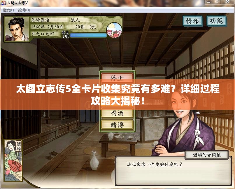 太阁立志传5全卡片收集究竟有多难？详细过程攻略大揭秘！