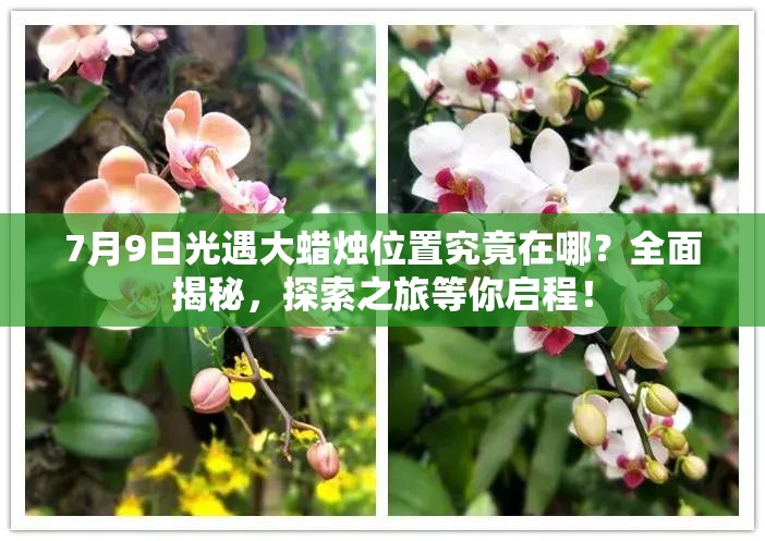 7月9日光遇大蜡烛位置究竟在哪？全面揭秘，探索之旅等你启程！