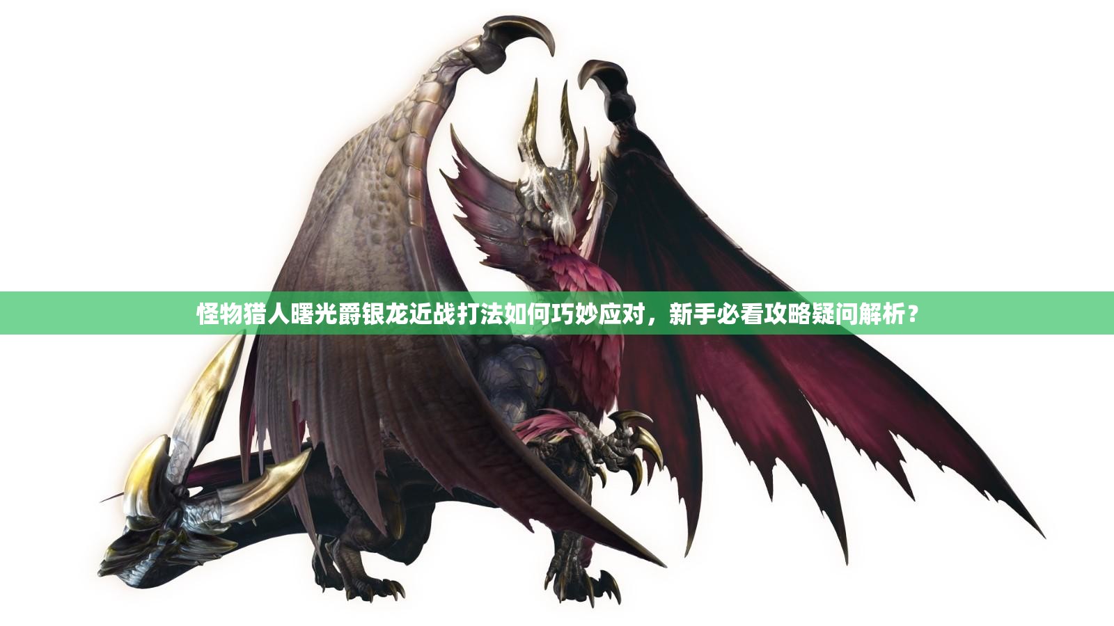 怪物猎人曙光爵银龙近战打法如何巧妙应对，新手必看攻略疑问解析？
