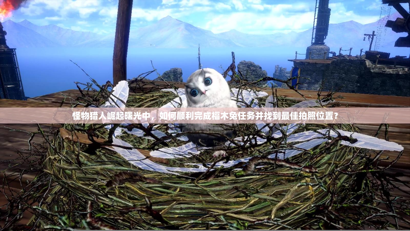 怪物猎人崛起曙光中，如何顺利完成福木兔任务并找到最佳拍照位置？